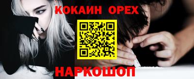 молекула духа Будённовск