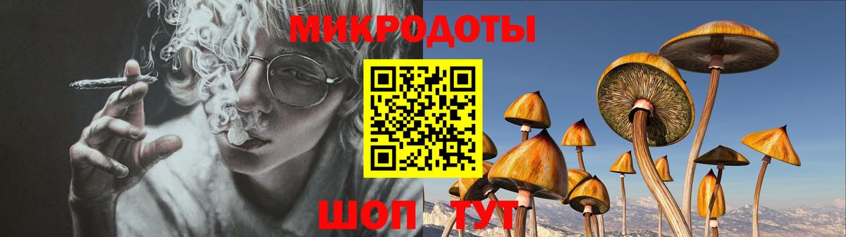 Галлюциногенные грибы Magic Shrooms  Псилоцибиновые грибы GOLDEN TEACHER  Люберцы  Вход с VPN 